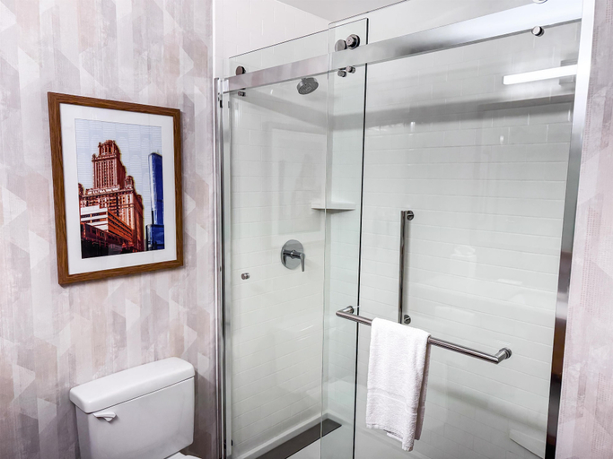 Bathroom 4, Hampton Inn & Suites Addison, Dupage