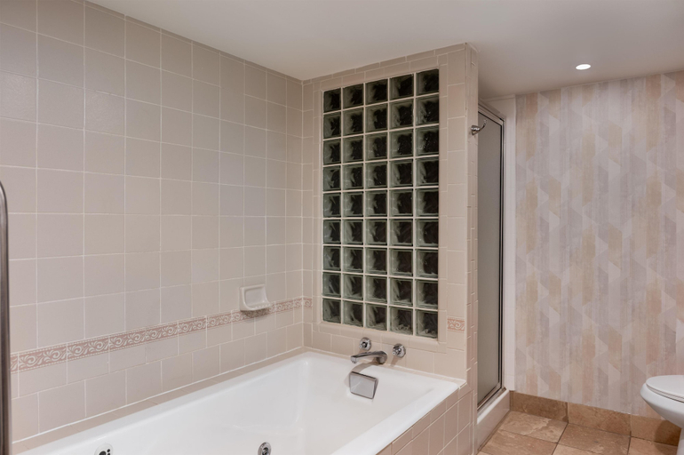 Bathroom 4, Hampton Inn South Hill, Mecklenburg