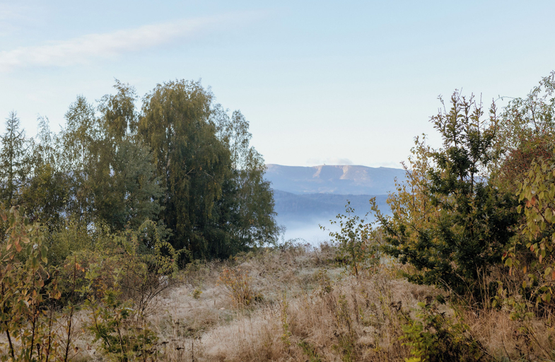 Others 5, FlowFort - Karkonosze - Mountain View - Private Hot Tub & Sauna, Jelenia Góra