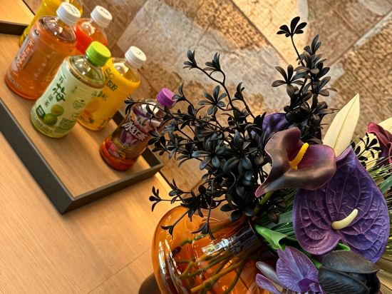 Others 2, Baishanting Hotel (Dongfang Cultural Plaza Railway Station), Hainan