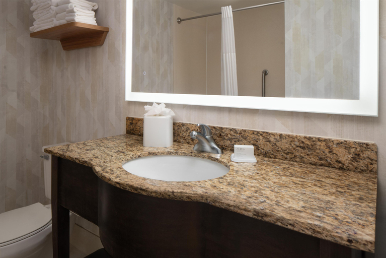 Bathroom 4, Hampton Inn by Hilton Hopewell Fort Lee, Hopewell