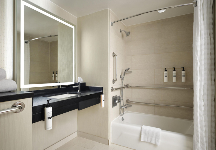 Bathroom 5, Embassy Suites by Hilton Chicago Downtown Magnificent Mile, Cook