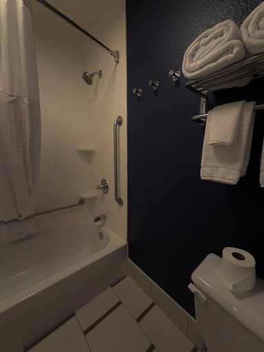 Bathroom 4, Spark by Hilton Bloomington, Monroe