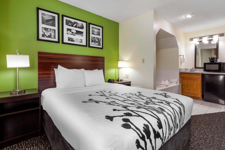 Bedroom 3, Sleep Inn & Suites Omaha Airport, Douglas