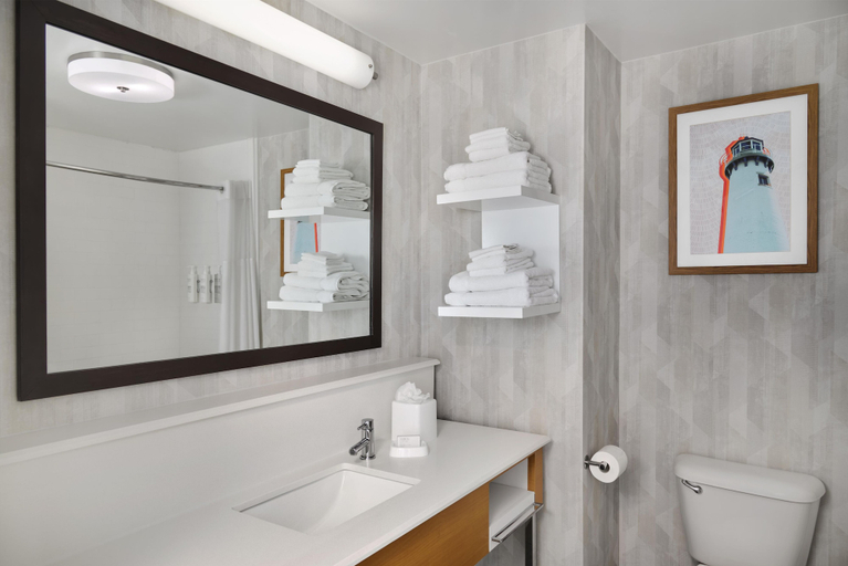 Bathroom 4, Hampton Inn & Suites Detroit/Sterling Heights, Macomb