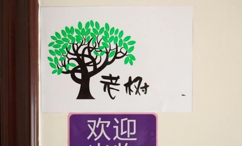 Others 4, Liuzhou Old Tree Youth Hostel, Liuzhou