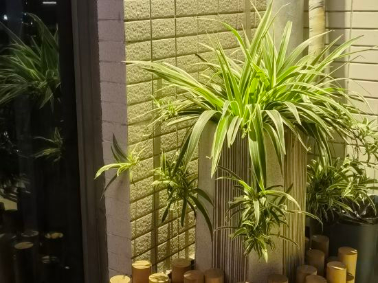Others 5, Fuzhou Taijiang Wanda River View Apartment (Binjiang Garden), Fuzhou