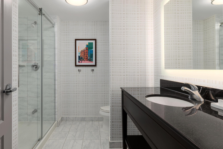 Bathroom 5, Hampton Inn by Hilton Toronto Airport Corporate Centre, Toronto