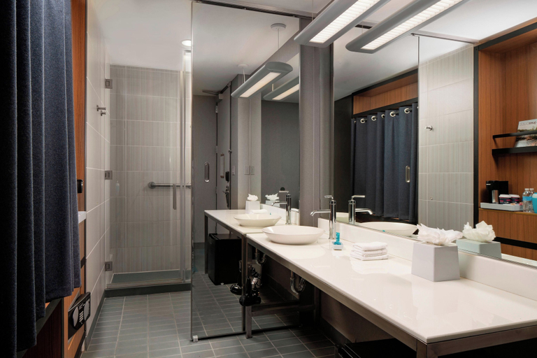 Bathroom 4, Aloft by Marriott Rogers-Bentonville, Benton