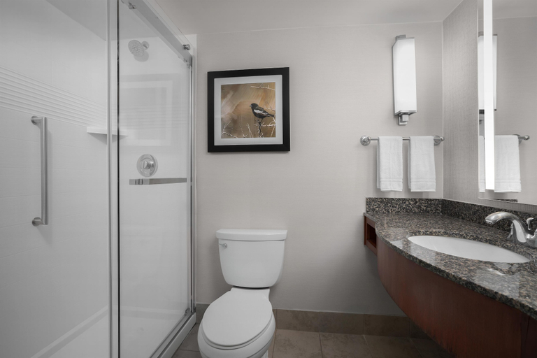 Bathroom 4, Hilton Garden Inn Denver Downtown, Denver