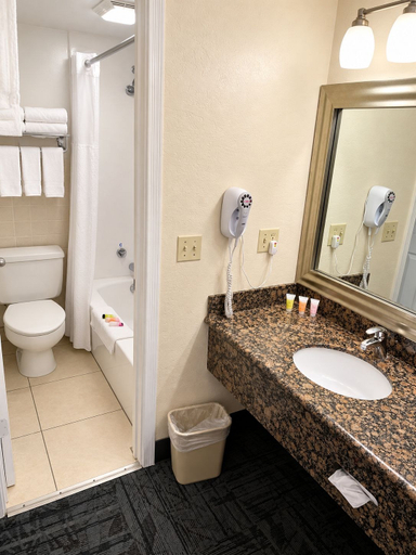 Bathroom 4, Sturgis Lodge & Suites, Travelodge by Wyndham, Meade