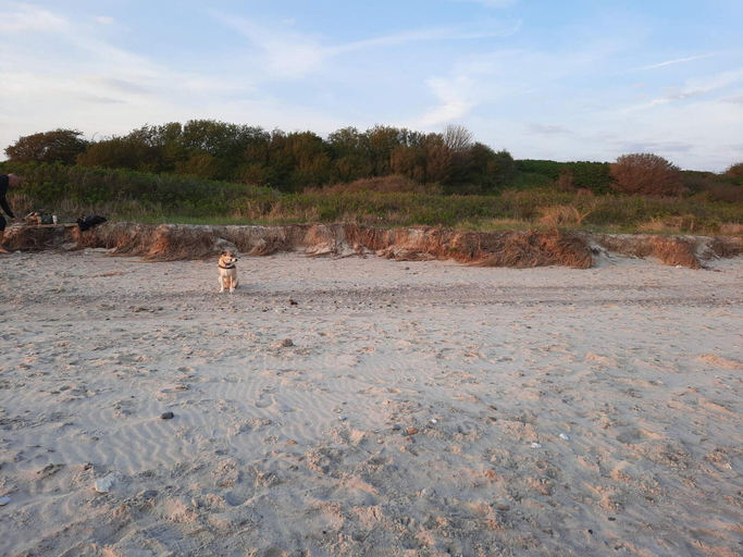 Others 4, 5 Star Holiday Home in Sydals, Sønderborg