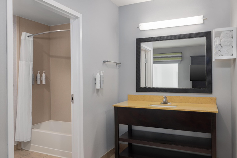 Bathroom 4, Hampton Inn Pleasanton, Atascosa