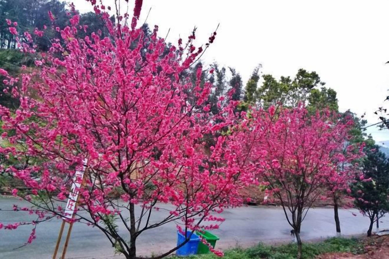 Others 4, Hongdou Mountain Villa, Meizhou