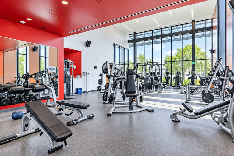 Others 4, Modern 4-story Townhome Med Center Sleeps 8, Houston
