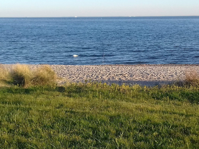 Others 5, Seaside Retreat in Lolland, Lolland