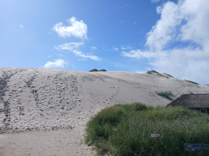Others 4, Cozy Dune Cottage Retreat-By Traum, Ringkøbing-Skjern