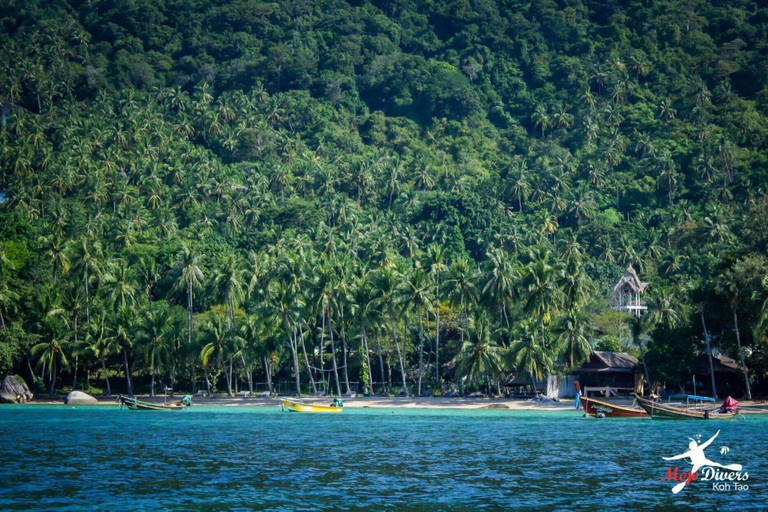 Others 5, Pranee Bungalow, Ko Phangan