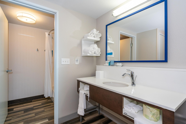 Bathroom 4, Hampton Inn & Suites Flagstaff, Coconino
