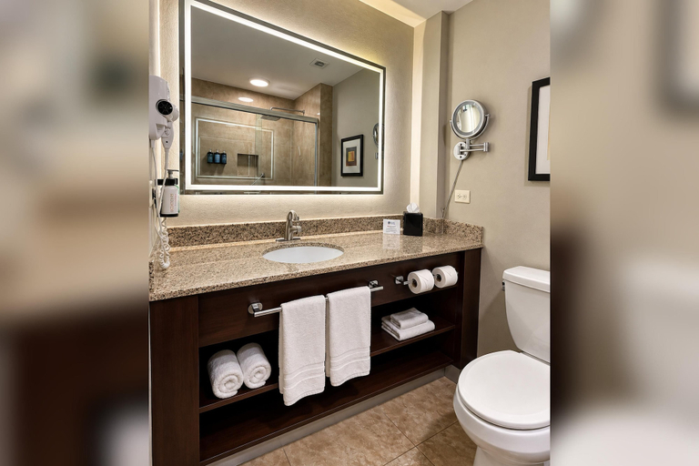 Bathroom 4, Best Western Premier Monterrey Aeropuerto, Apodaca