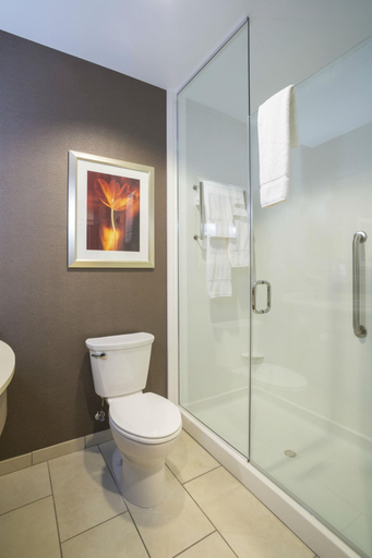 Bathroom 4, Hilton Garden Inn Sioux Falls Downtown, Minnehaha