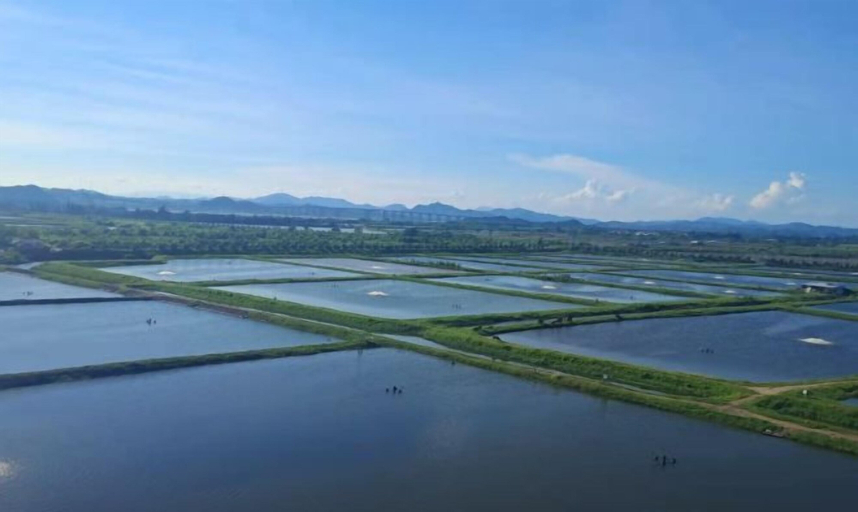 Others 5, Hengshan Hotel, Jiangmen