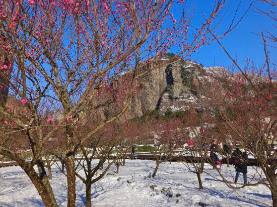 Others 2, Wenzhou Yueqing Yandang Mountain Valley Homestay (Lingfeng Scenic Area), Wenzhou