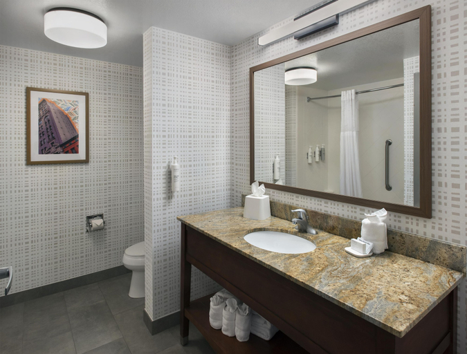 Bathroom 4, Hampton Inn and Suites New Hartford/Utica, Oneida