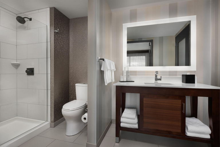 Bathroom 5, Embassy Suites by Hilton Knoxville West, Knox