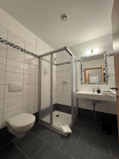 Bathroom 5, Hotel Restaurant Steinhägerquelle, Gütersloh