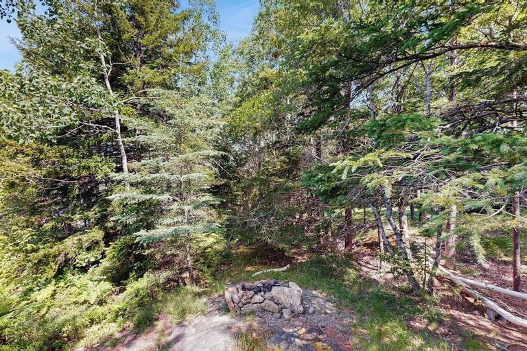 Others 5, Secluded Sunset Point Mountain top Cabin, Wifi, Dish TV, Firepit, Hancock