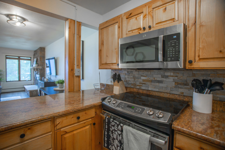 Others 2, Cv105 Copper Valley 1 Bedroom Condo, Summit