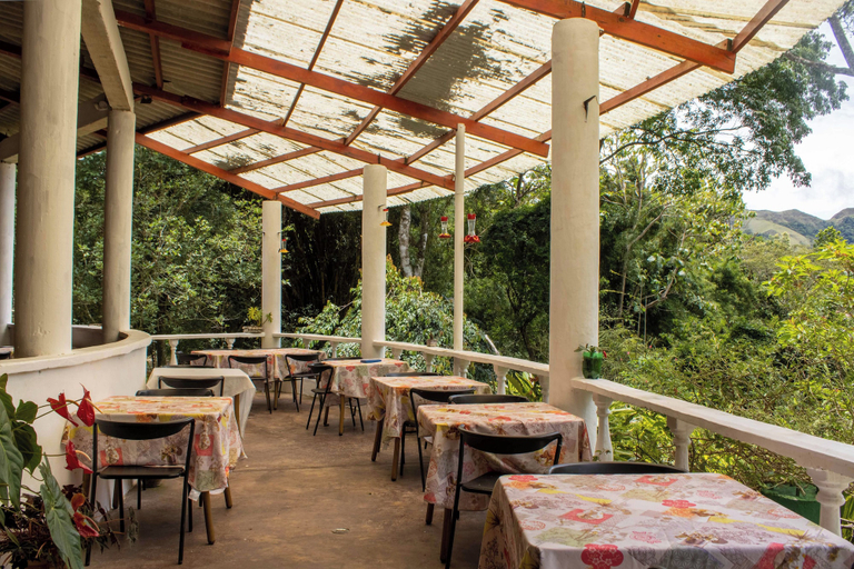 Food & Drinks 5, Refugio Cariguana, Antón
