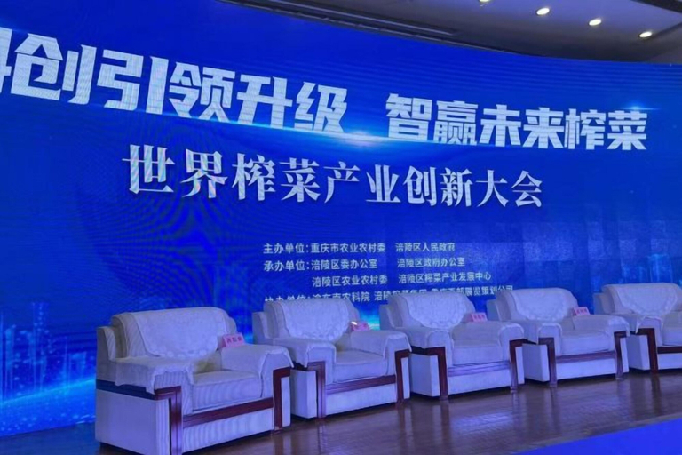 Sport & Beauty, Fuling Hotel, Chongqing