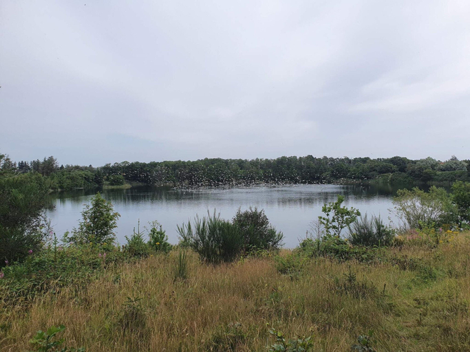 Others 4, 5 Star Holiday Home in Ringkobing, Ringkøbing-Skjern