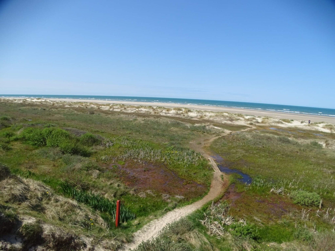 Others, 4 Star Holiday Home in Albaek, Frederikshavn