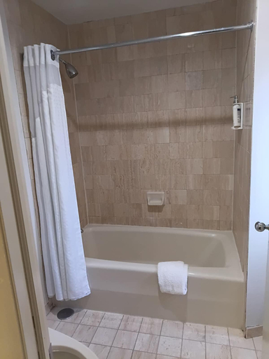 Bathroom 4, The Tremont Chicago Hotel, Cook