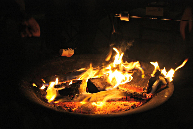 Food & Drinks 5, Royal Heritage Bandhavgarh, Umaria