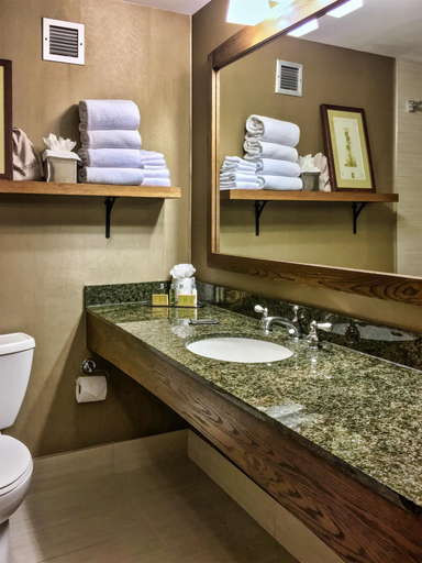 Bathroom 5, DoubleTree by Hilton Libertyville - Mundelein, Lake