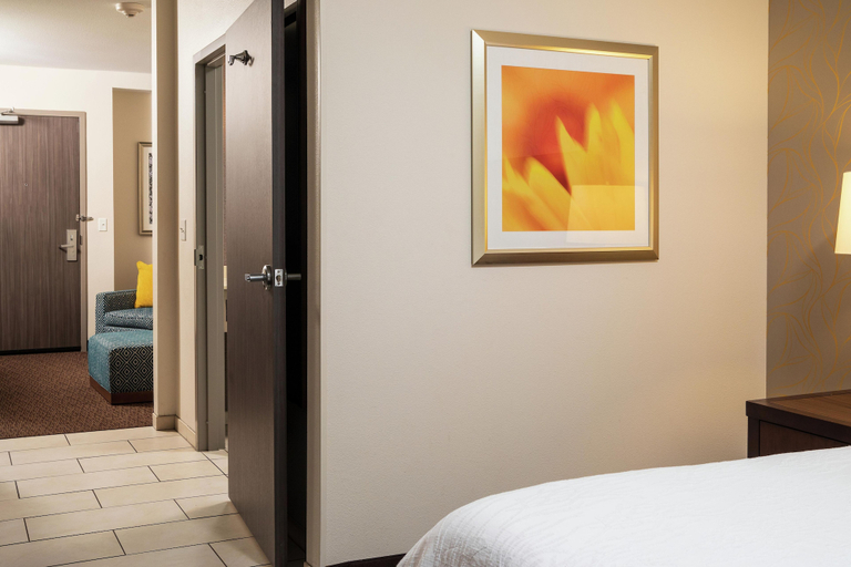 Bedroom 3, Hilton Garden Inn Sioux Falls Downtown, Minnehaha