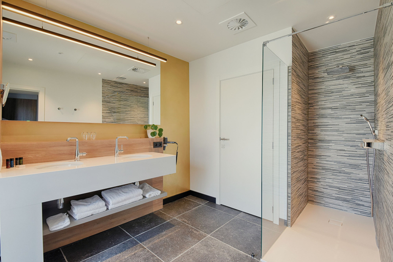 Bathroom 5, Hotel twee broeders, Limburg
