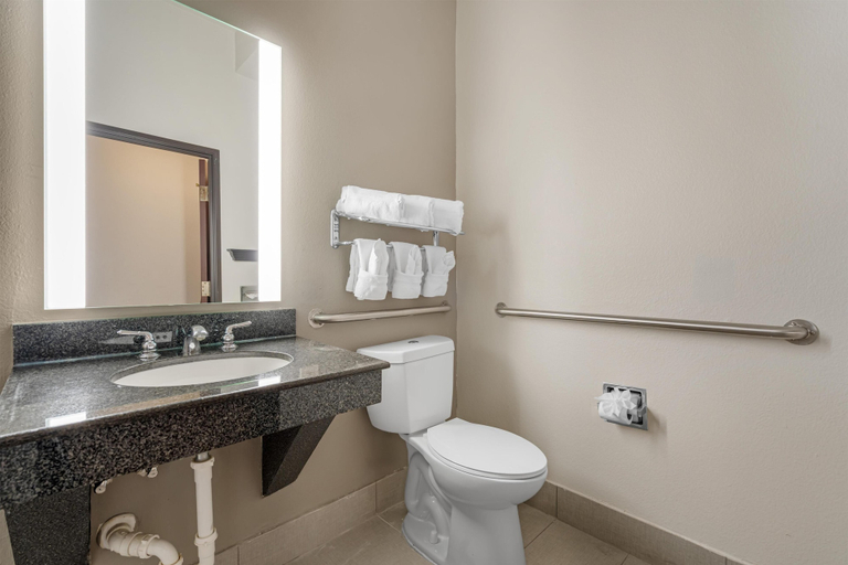 Bathroom 4, BEST WESTERN PLUS McKinney Inn & Suites, Collin