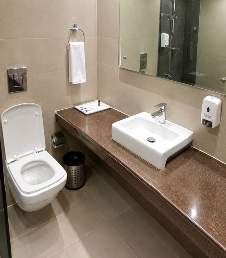 Bathroom 4, Tivoli Heritage Palace, Rewari