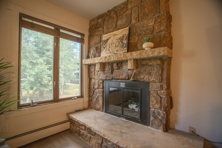 Others 5, Cv105 Copper Valley 1 Bedroom Condo, Summit