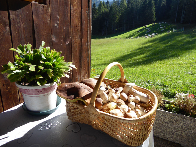 Food & Drinks 5, Baita Mountain View Pale San Martino, Trento