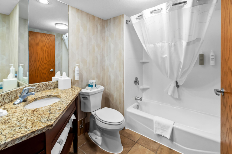 Bathroom 5, Hampton Inn Duluth Canal Park, Lake Superior