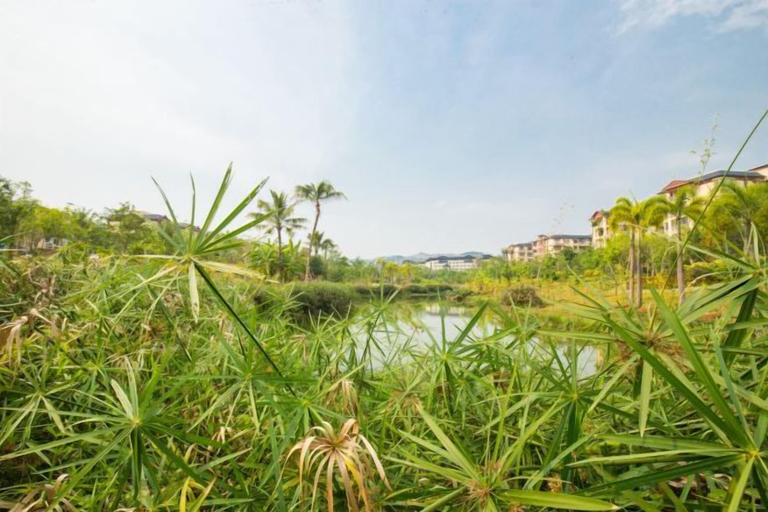 Others 5, Beautful holiday lnn, Xishuangbanna Dai