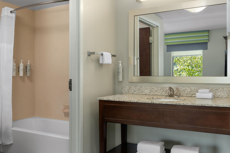 Bathroom 4, Hampton Inn & Suites Adairsville-Calhoun Area, Bartow