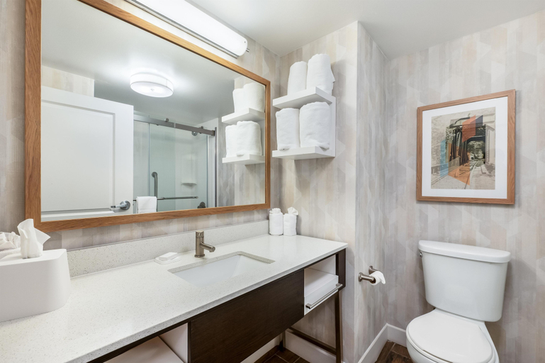 Bathroom 5, Hampton Inn White River Junction, Windsor