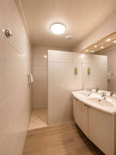 Bathroom 5, Aparthotel Delden, Hof van Twente